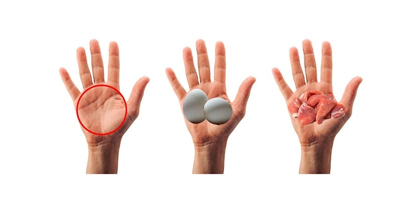 Palm-sized protein source during Ramadan based on the Malaysia Recommended Nutrient Intake recommendations.