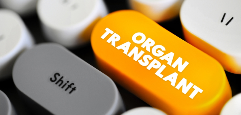 ‘Organ Transplant’ written on a keyboard key, linked to essential transplant immunosuppressant care